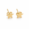 Pendientes  Guadalupe CZ/Estrellas 14k