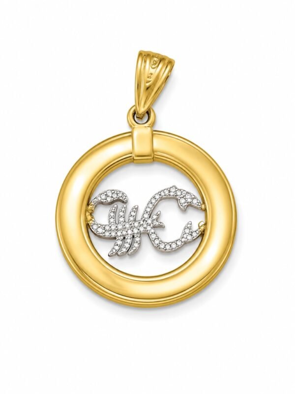 Dije Escorpion Circulo 14k Weight 1.4gr