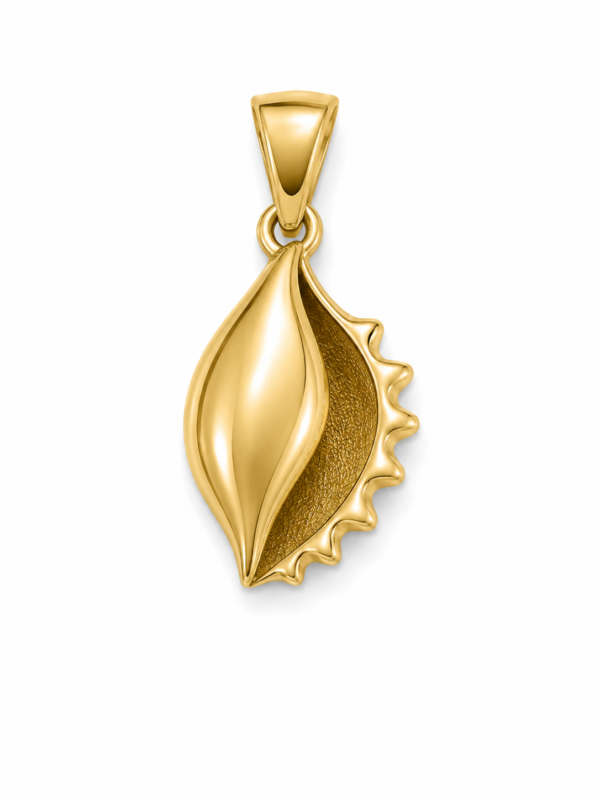 Dije Concha Caracol 14k Weight 1gr